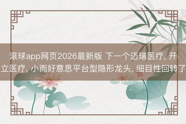 滚球app网页2026最新版 下一个迈瑞医疗, 开立医疗, 小而好意思平台型隐形龙头, 细目性回转了