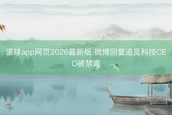滚球app网页2026最新版 微博回复追觅科技CEO被禁言