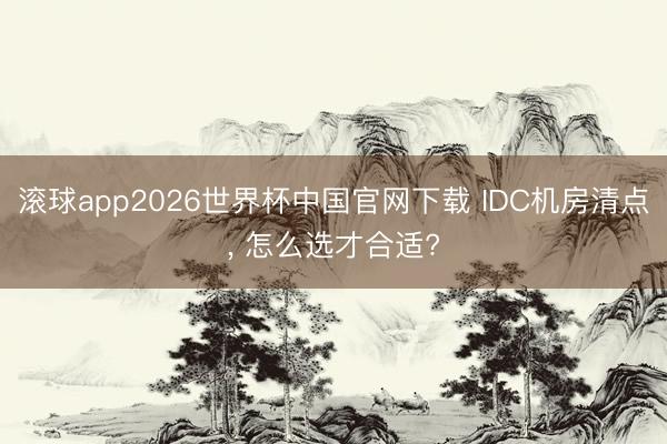 滚球app2026世界杯中国官网下载 IDC机房清点, 怎么选才合适?