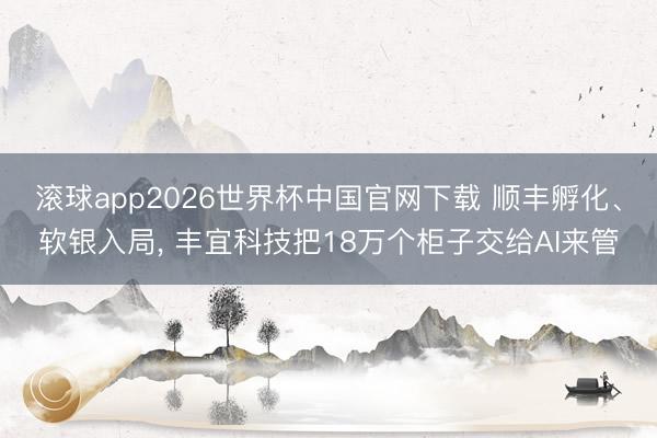滚球app2026世界杯中国官网下载 顺丰孵化、软银入局, 丰宜科技把18万个柜子交给AI来管