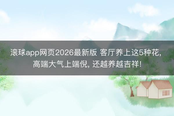 滚球app网页2026最新版 客厅养上这5种花, 高端大气上端倪, 还越养越吉祥!