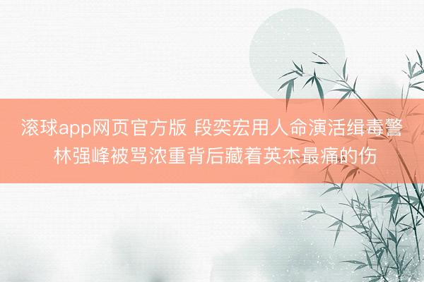 滚球app网页官方版 段奕宏用人命演活缉毒警 林强峰被骂浓重背后藏着英杰最痛的伤
